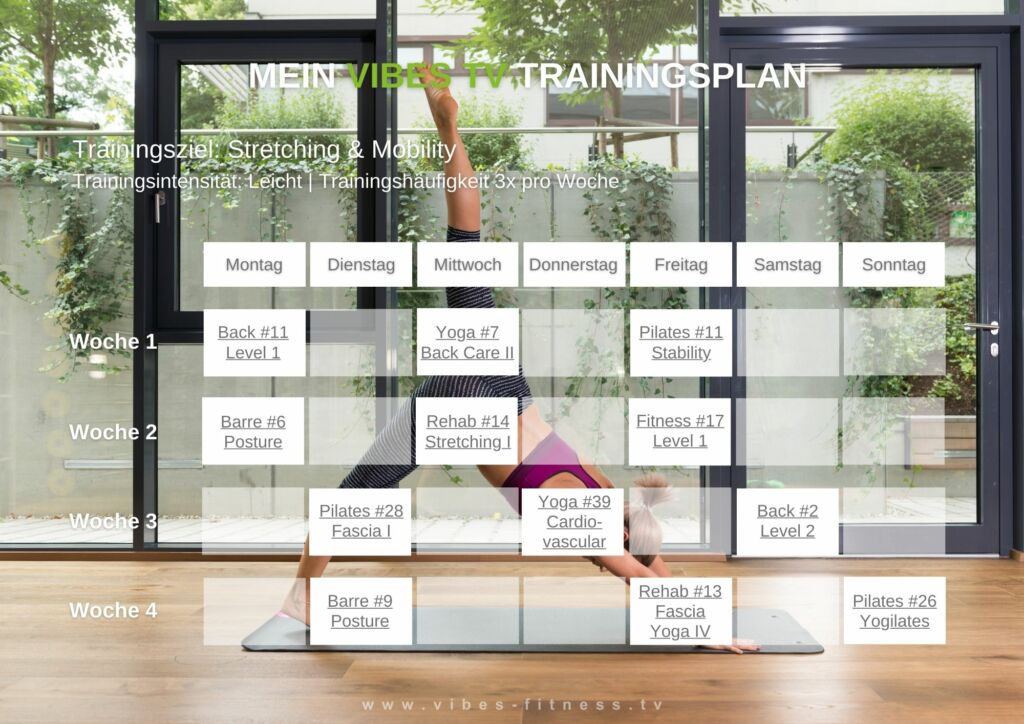 online-trainingsplan-stretching-mobility-leicht-3