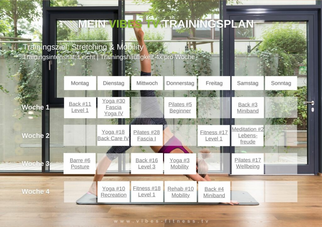 online-trainingsplan-stretching-mobility-leicht-4
