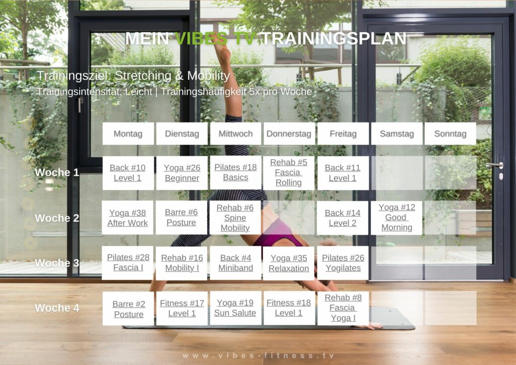 online-trainingsplan-stretching-mobility-leicht-5